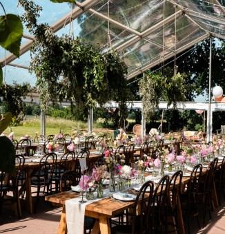 clear_roof_with_foliage